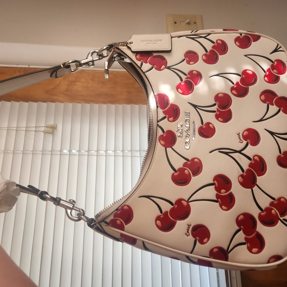 Coach Cherry Terri Hobo Bag